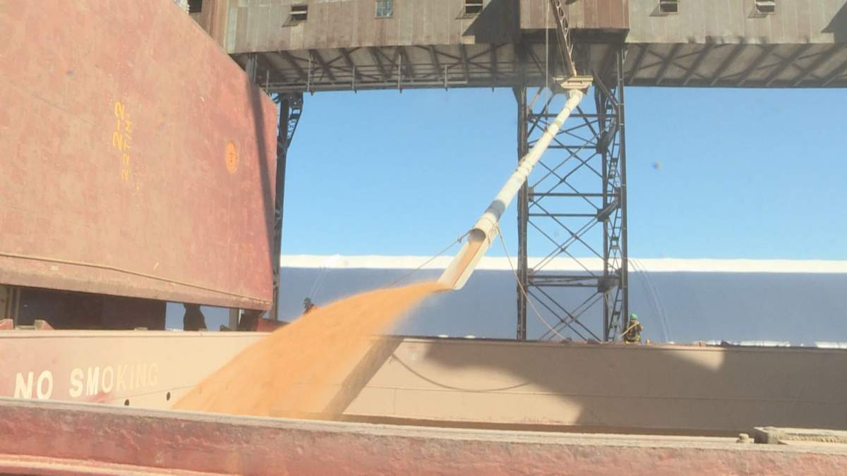 Approximately 30,000 tonnes of wheat durum from Saskatchewan-based AGT foods being loaded onto the ship in Churchill.