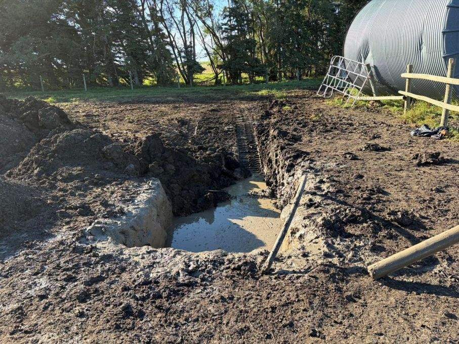 The horse is believed to have stuck in the mud pit for several hours.