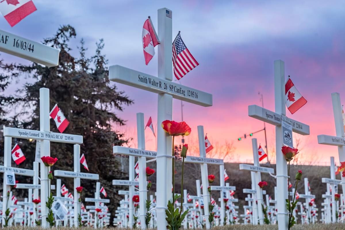 Field of Crosses proudly supported by Global Calgary - image