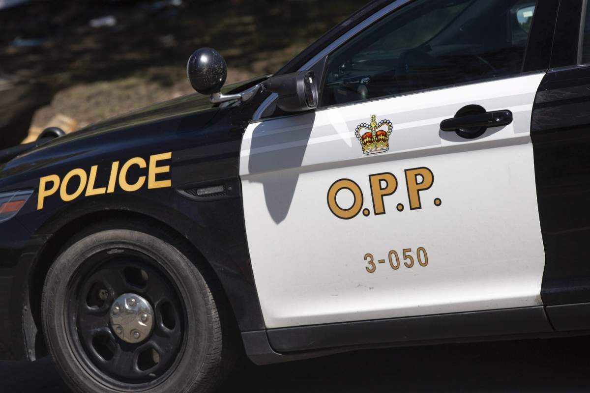 OPP cruiser