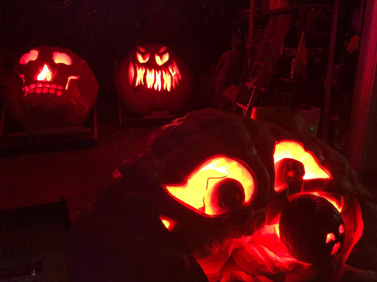 pumpkins