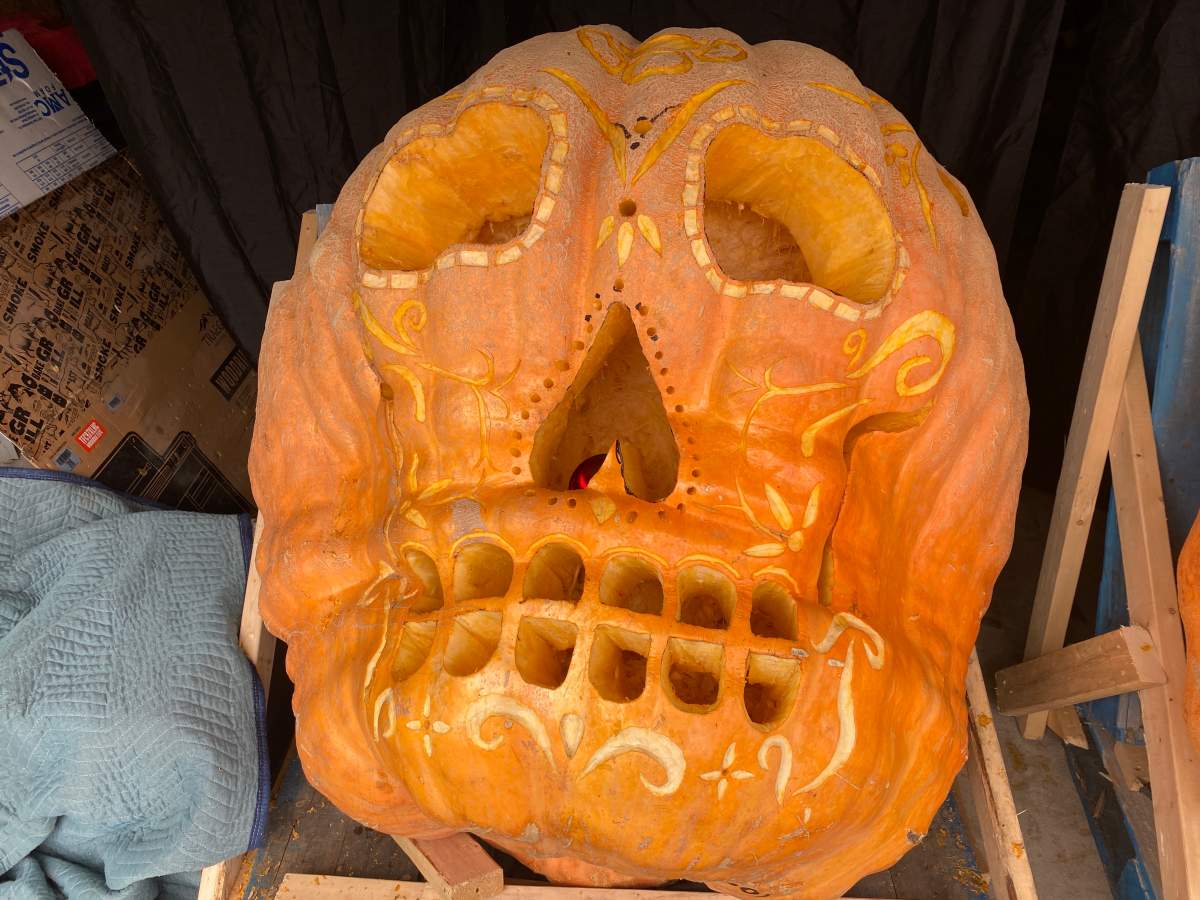 pumpkin