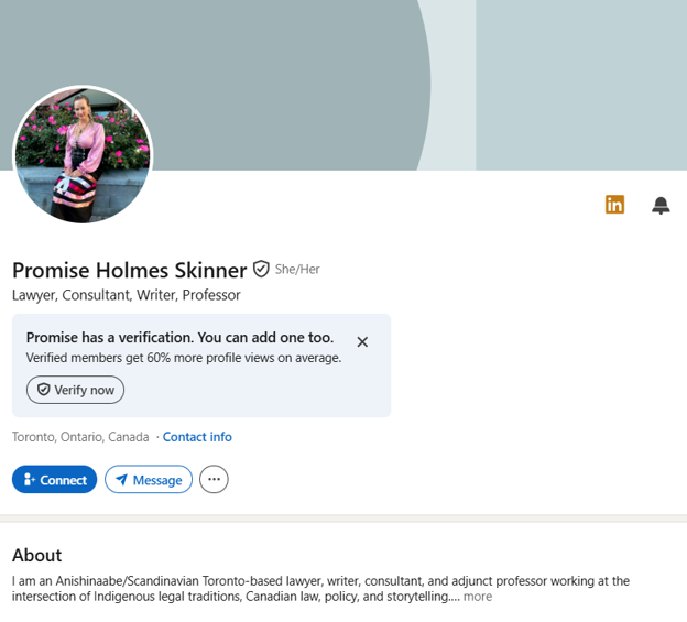 Screenshot of Promise Holmes Skinner’s LinkedIn page where she says she is an “Anishinaabe-Scandinavian” lawyer “working in the intersection of Indigenous legal traditions…”