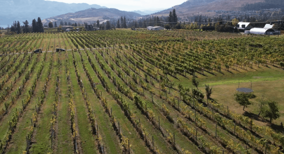 Kalala Winery, West Kelowna