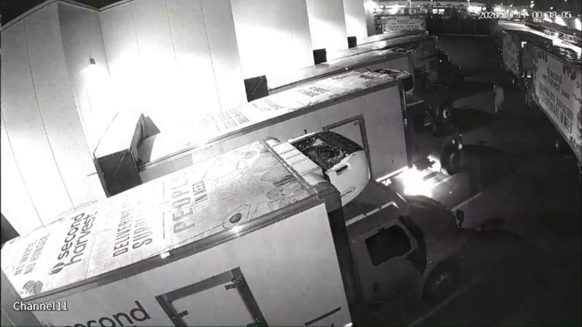 Second Harvest security footage