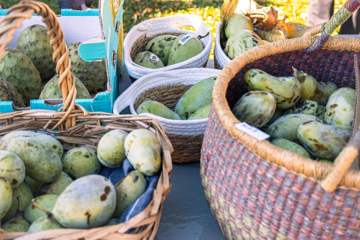 pawpaw fruit
