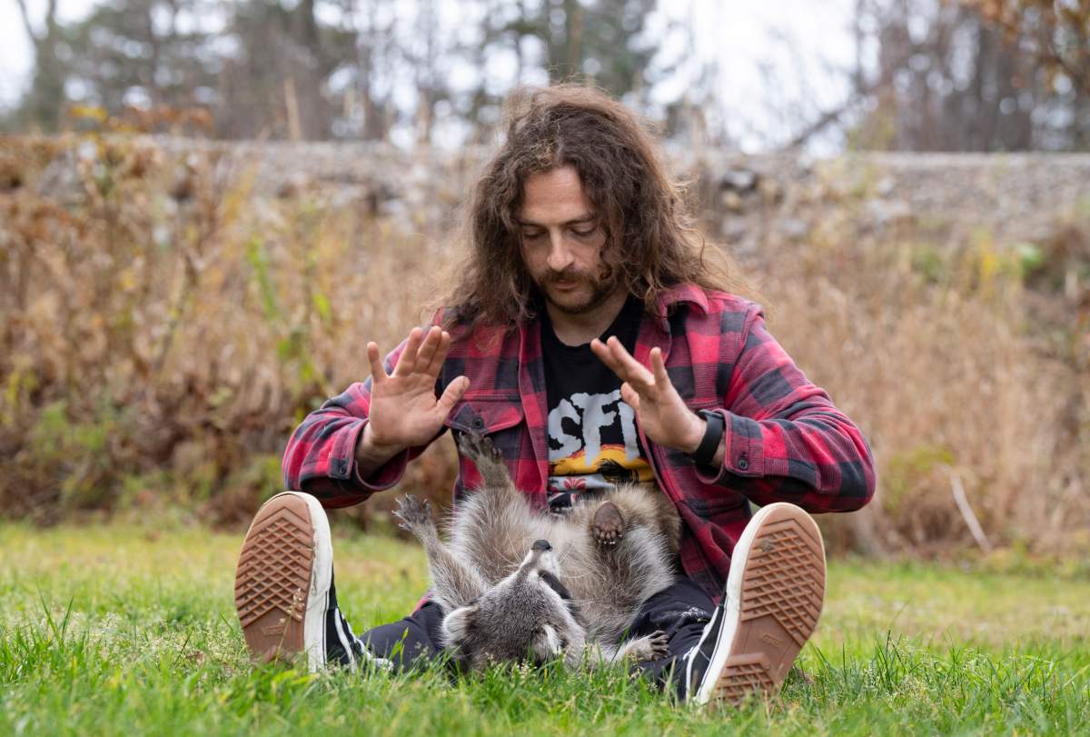raccoon guy