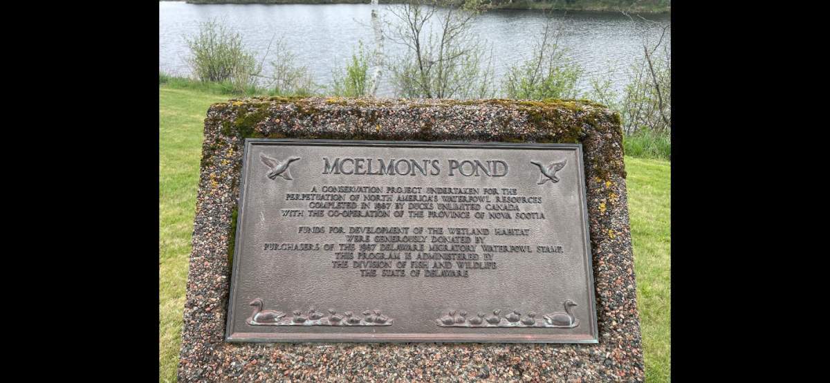 Police in Nova Scotia's Colchester County is investigating the theft of several historical plaques from monuments.