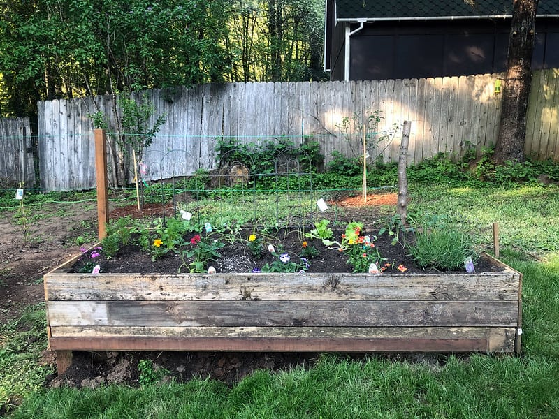 Square-Foot Gardening (Flowers)
