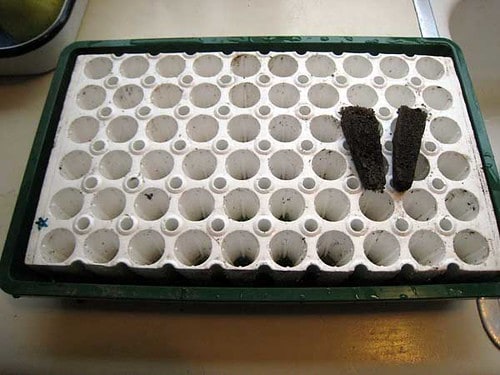 Bio-Sponge