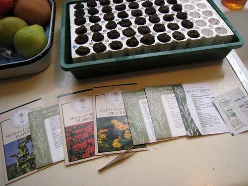 Seed Packets