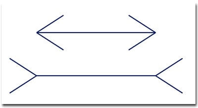 Which line is longest?