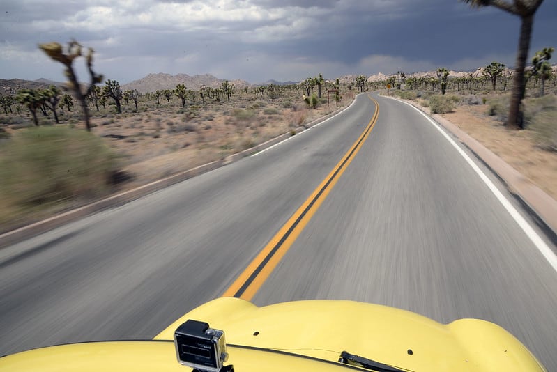 Driving through Joshua Tree