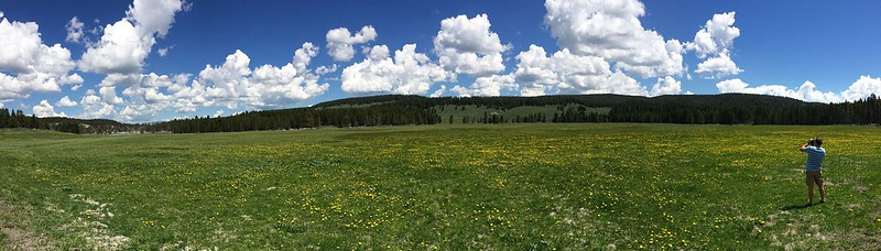 Yellowstone