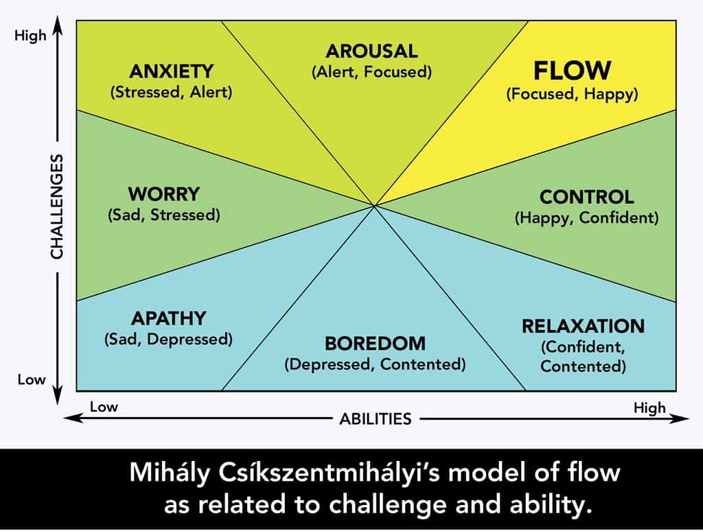 Flow Model
