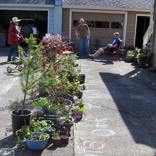 Plant Swap