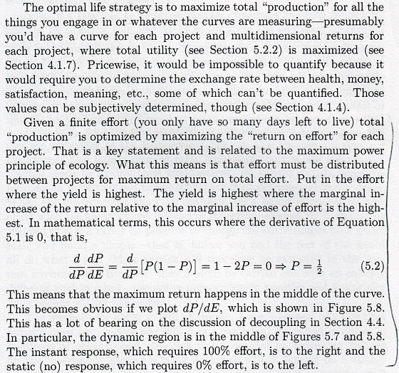 excerpt from Early Retirement Extreme