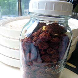 The dried cherries after going through the food dehydrator.