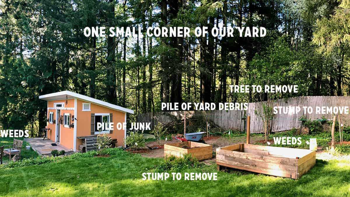One small corner of our yard