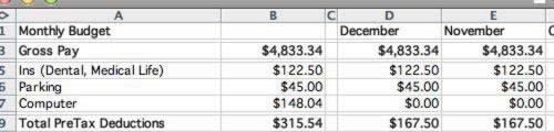 The first section contains pre-tax deductions.