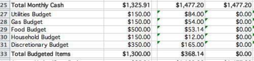 The third section is for irregular expenses.