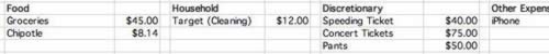 Track your daily expenses on the monthly pages.