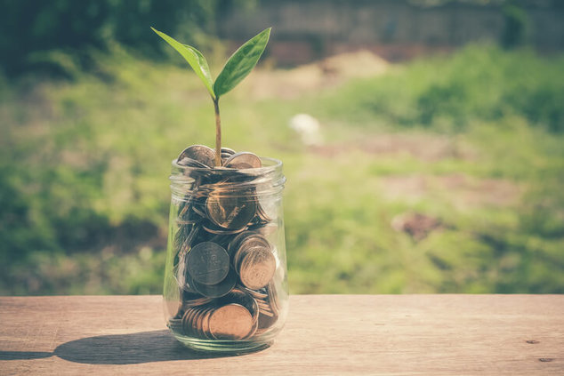 coins growing plant