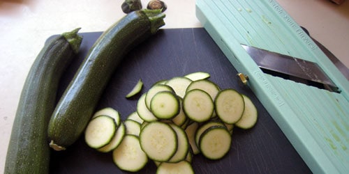 Kris' zucchini plants are prolific this year.