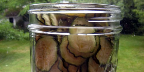 Zucchini chips, ready for snacking.